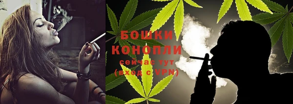 гидропоника Гусь-Хрустальный