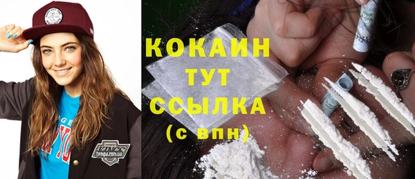 гидропоника Гусь-Хрустальный