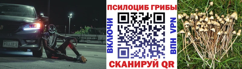 Псилоцибиновые грибы GOLDEN TEACHER  Череповец 